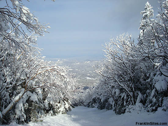 Taft Trail above old ski area (2008)