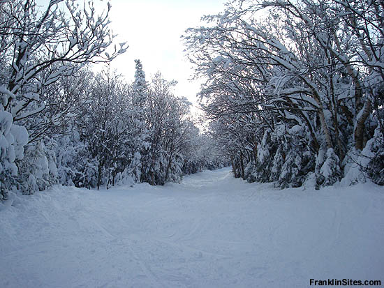 Taft Trail above old ski area (2008)