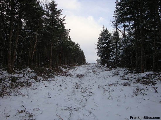 Recently widened Taft Trail (2009)