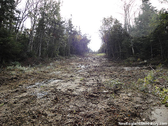 Recently regraded Taft Trail (2010)