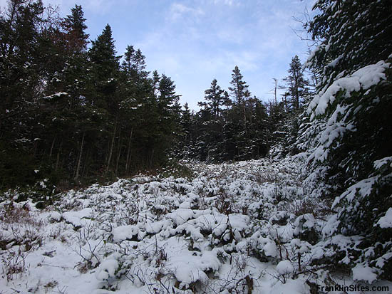 Tucker Brook Trail (2009)