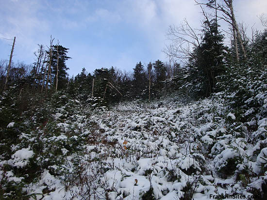 Tucker Brook Trail (2009)