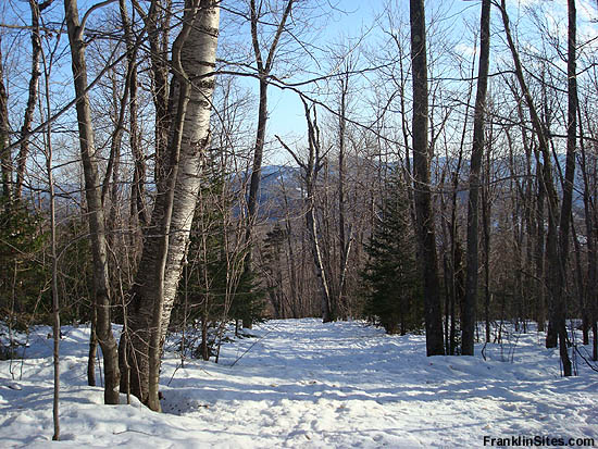The Doublehead Ski Trail in 2008