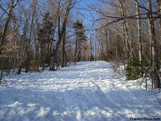 The Doublehead Ski Trail in 2008