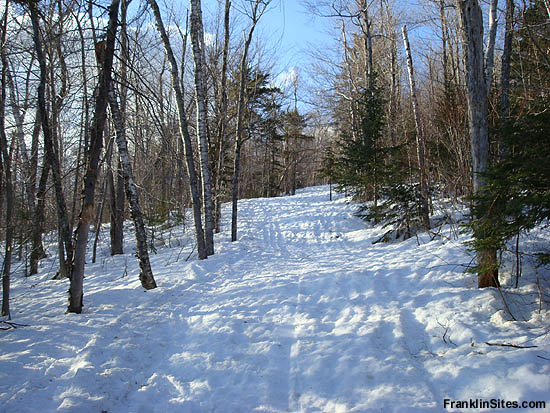 The Doublehead Ski Trail in 2008