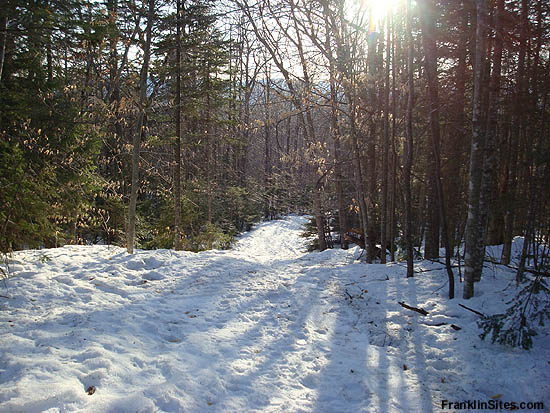 The Doublehead Ski Trail in 2008