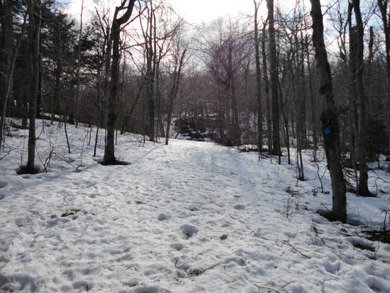 The bottom of the Alexandria ski trail (2011)