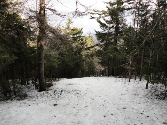 The top of the Alexandria ski trail (2011)