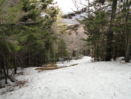 The top of the Alexandria ski trail (2011)