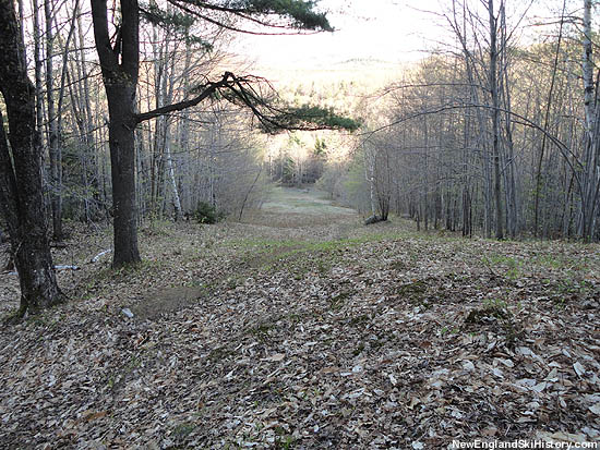 The top of the Duke's Pasture (2011)