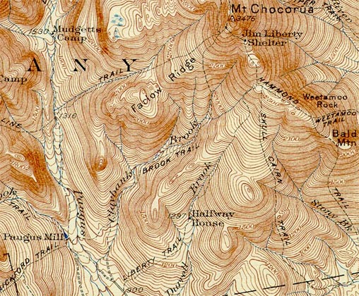 1931 USGS Topographic Map
