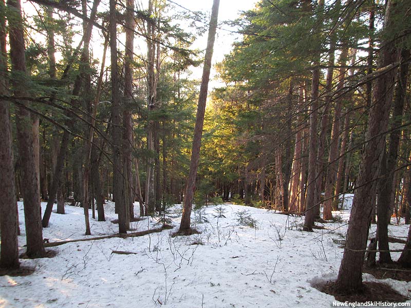 Possible middle trail remnants April 2015