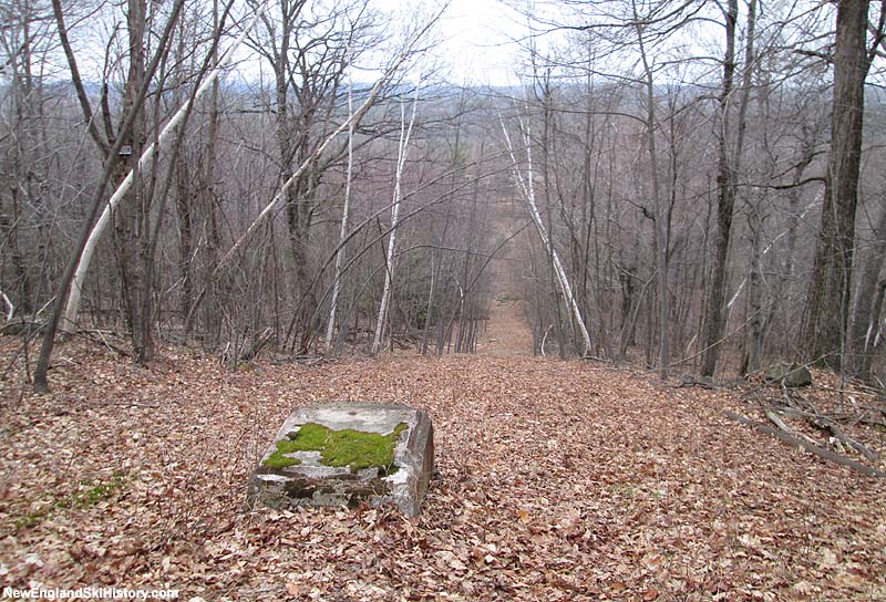 Looking down the former lift line (2014)