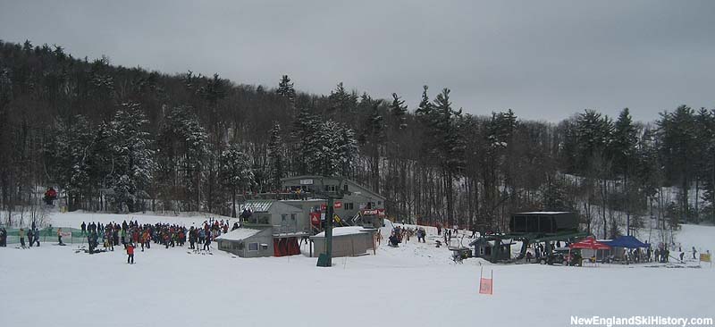 The Tiger Triple in 2008