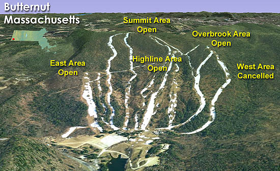 Butternut Overview