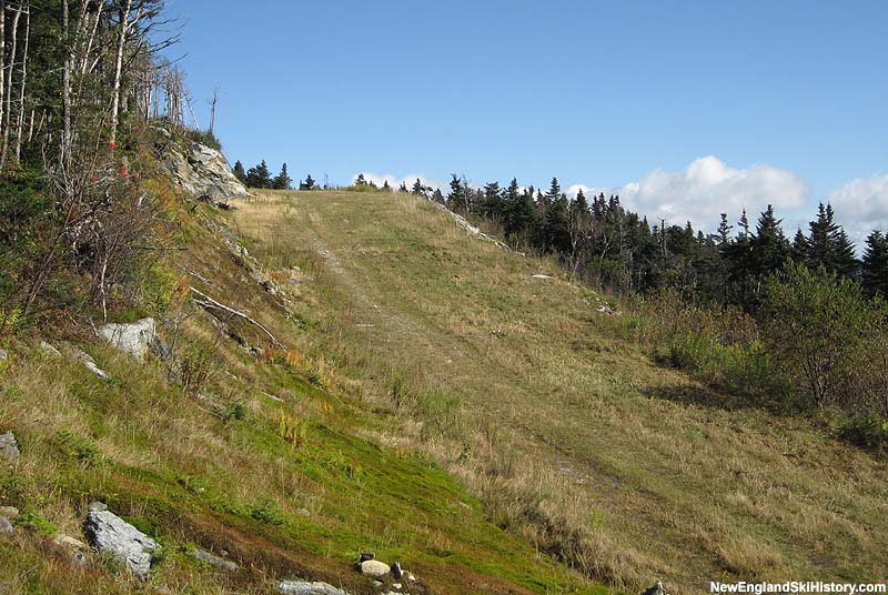 The connector trail (2006)