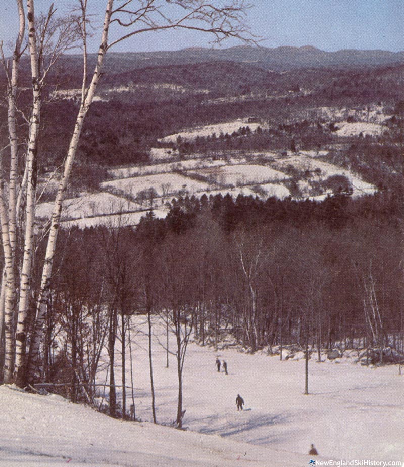 The Timber Trail