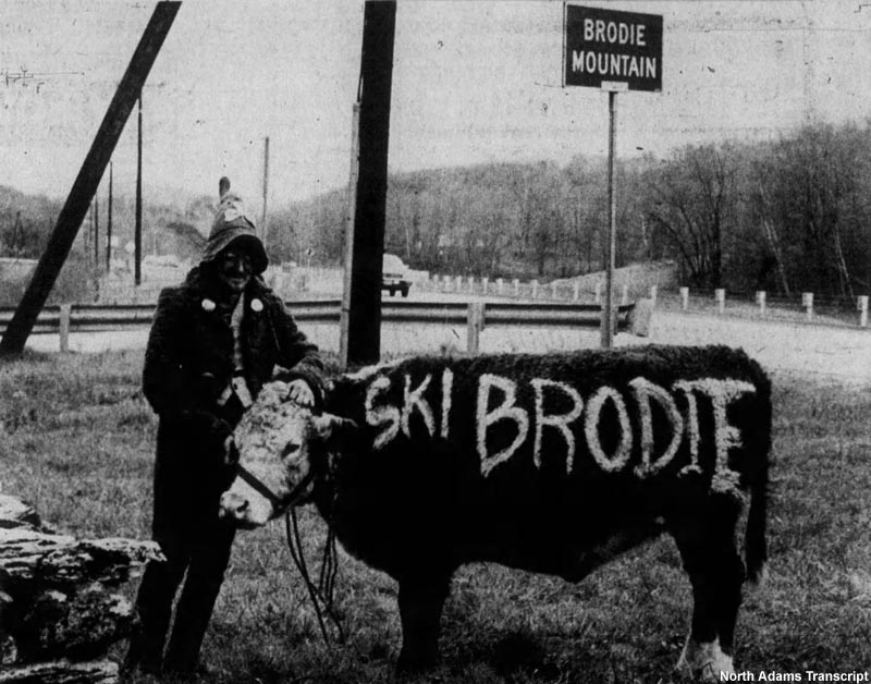 The cow sign (1975)