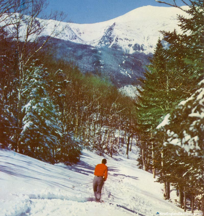 Skiing at Wildcat