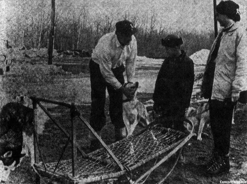 Russell McLaughlin, George Merritz, and Donna Stiles at Woody Glen circa January 1967