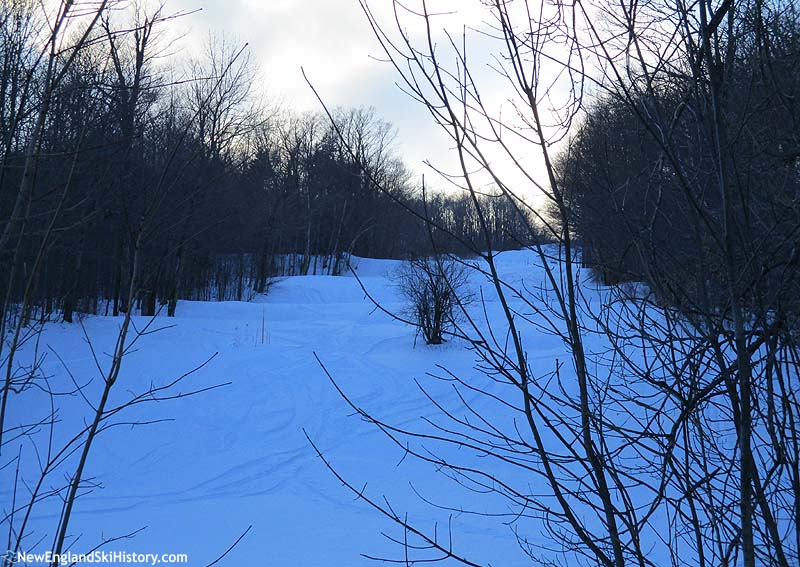 Tracks on a lower mountain slope (2018)