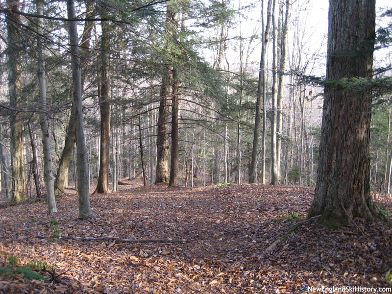 Spruce Mountain Trail