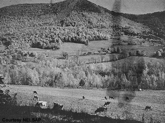 A 1965 photo of Netop Mountain, the proposed first phase of the Dorset Hollow Ski Area