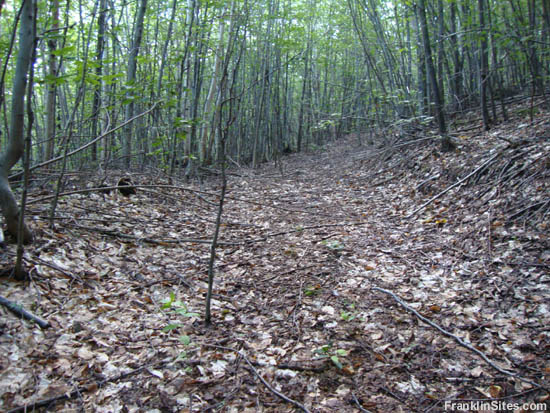The Bear Mountain Upper Trail (2010)