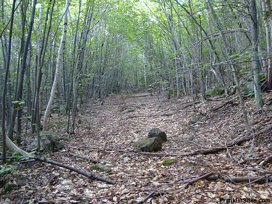 The Bear Mountain Upper Trail (2010)