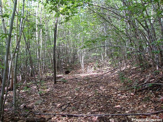 The Bear Mountain Upper Trail (2010)