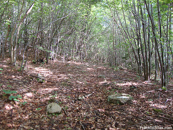 The Bear Mountain Upper Trail (2010)