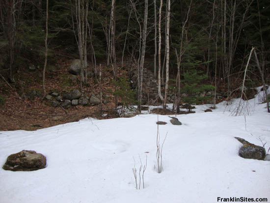 Kinsman Cabin remains (2010)