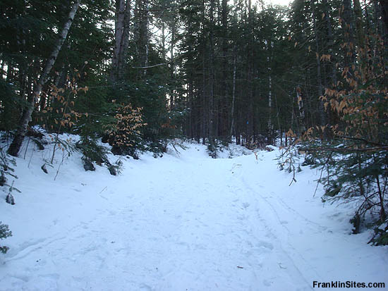 Lower portion of the Kinsman Ski Trail (2009)