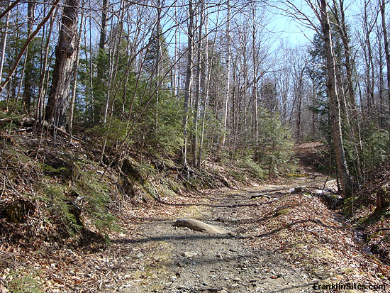 Lower portion of the Kinsman Ski Trail (2009)