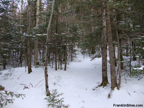 Possible middle junction of trail (2009)