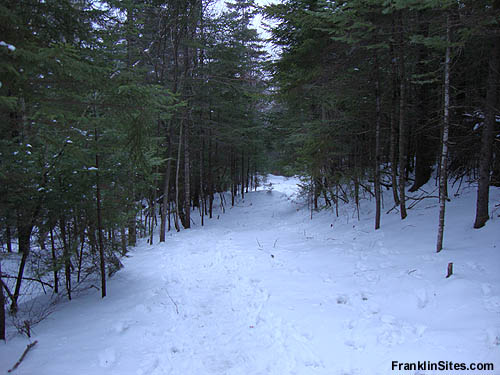 Lower portion of the Kinsman Ski Trail (2009)