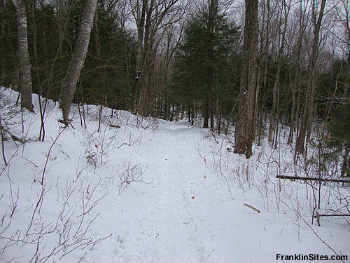 Lower portion of the Kinsman Ski Trail (2009)