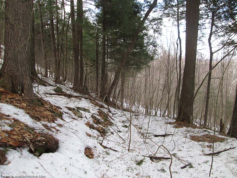 Possible lower trail remnants in April 2015