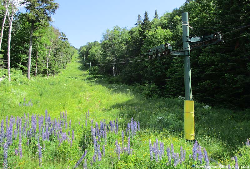 The lift line (2017)