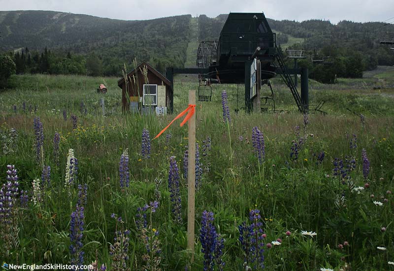 The bottom terminal (2017)