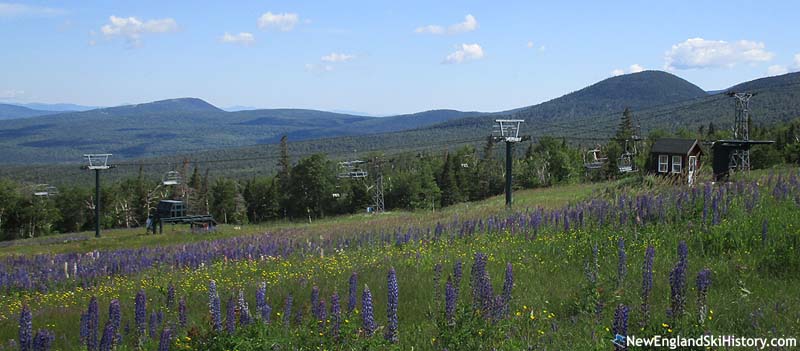 The bottom terminal (2017)