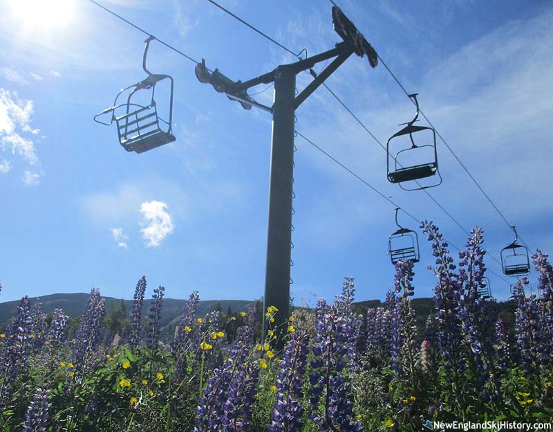 The lift line (2017)