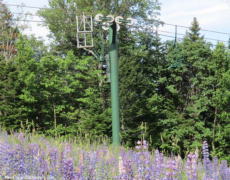 The lift line (2017)