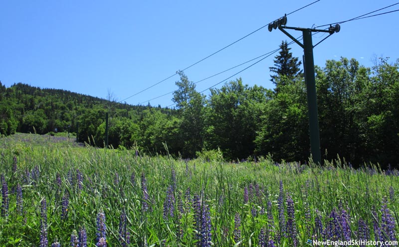The lift line (July 2019)