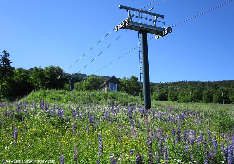 The top terminal (July 2019)