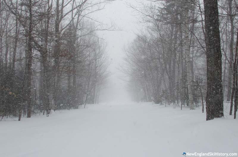 The former lift line (February 2019)