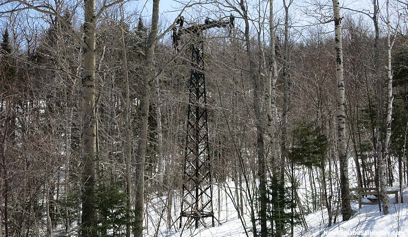 Gondola towers in 2014