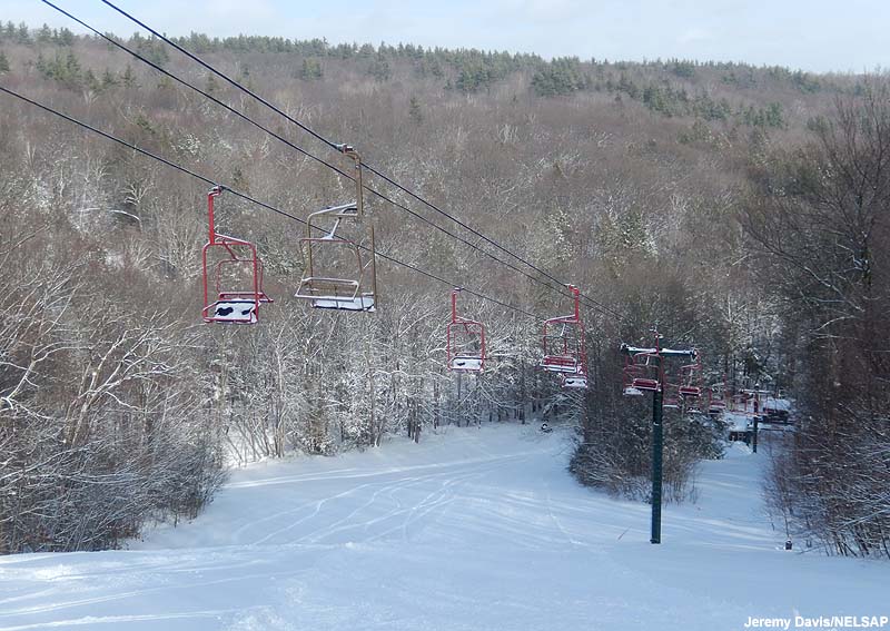 North Chair Blandford