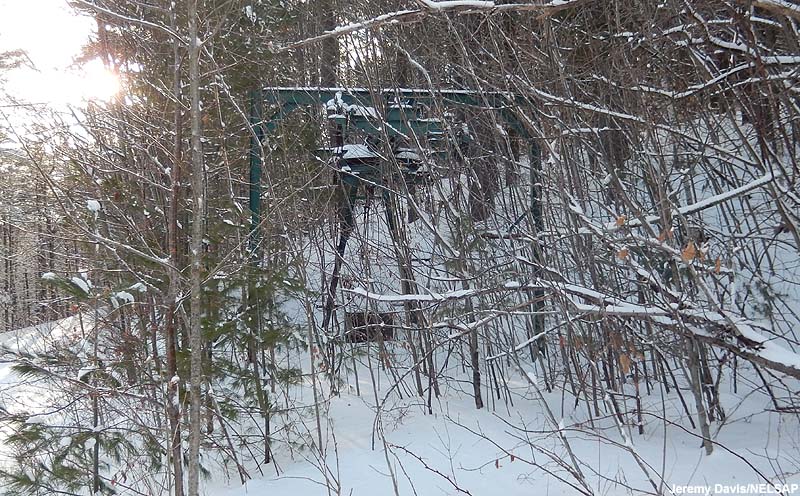Remains of the T-Bar top terminal in 2014