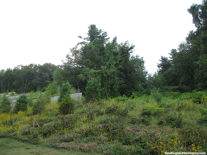 The lower lift line (right) (2015)